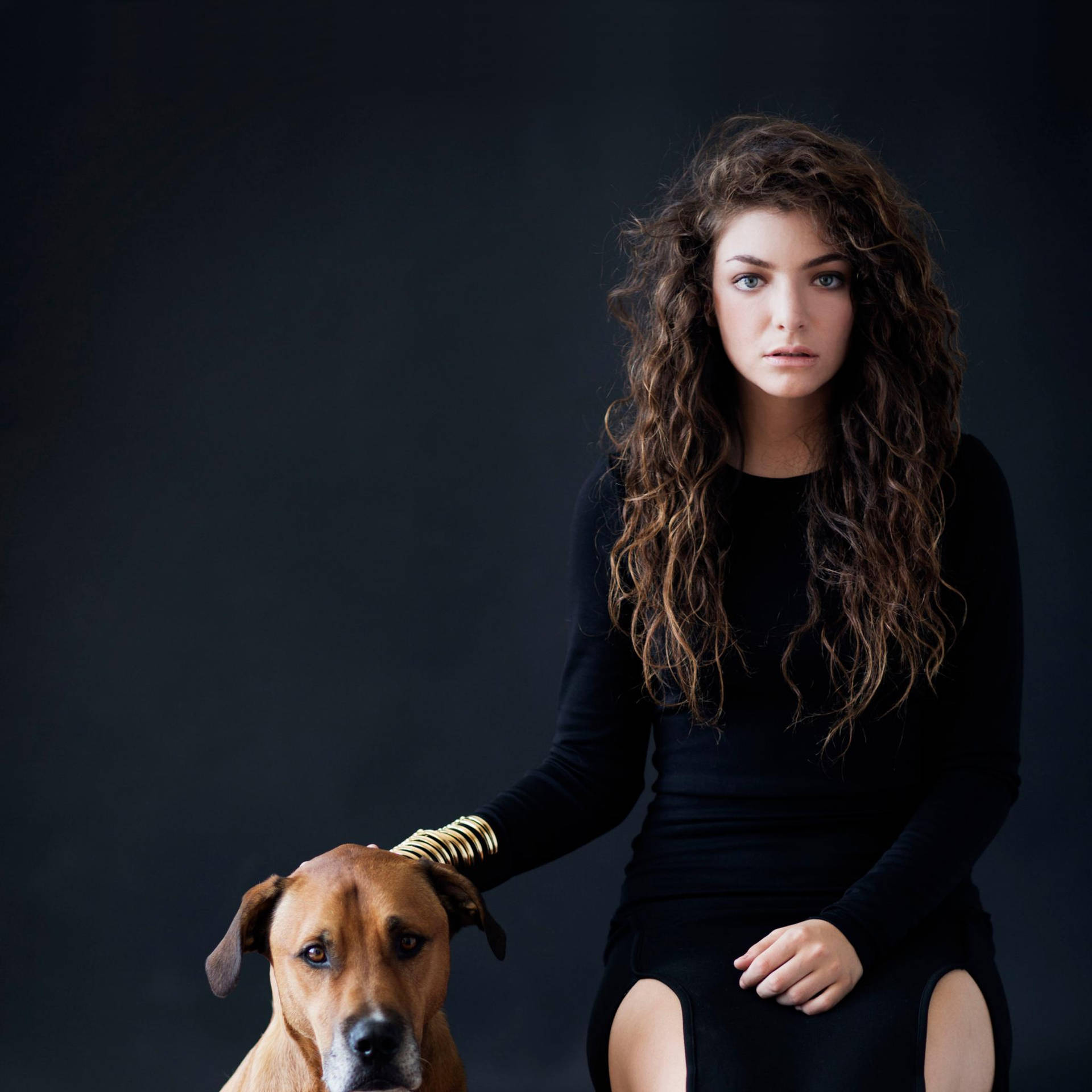 Lorde Pure Heroine With Dog Wallpaper
