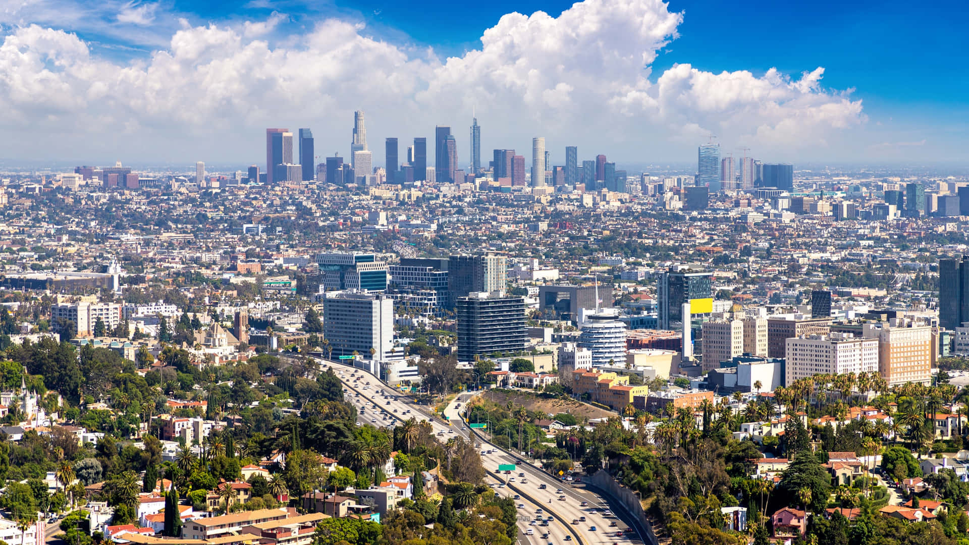 Stunning Los Angeles Skyline