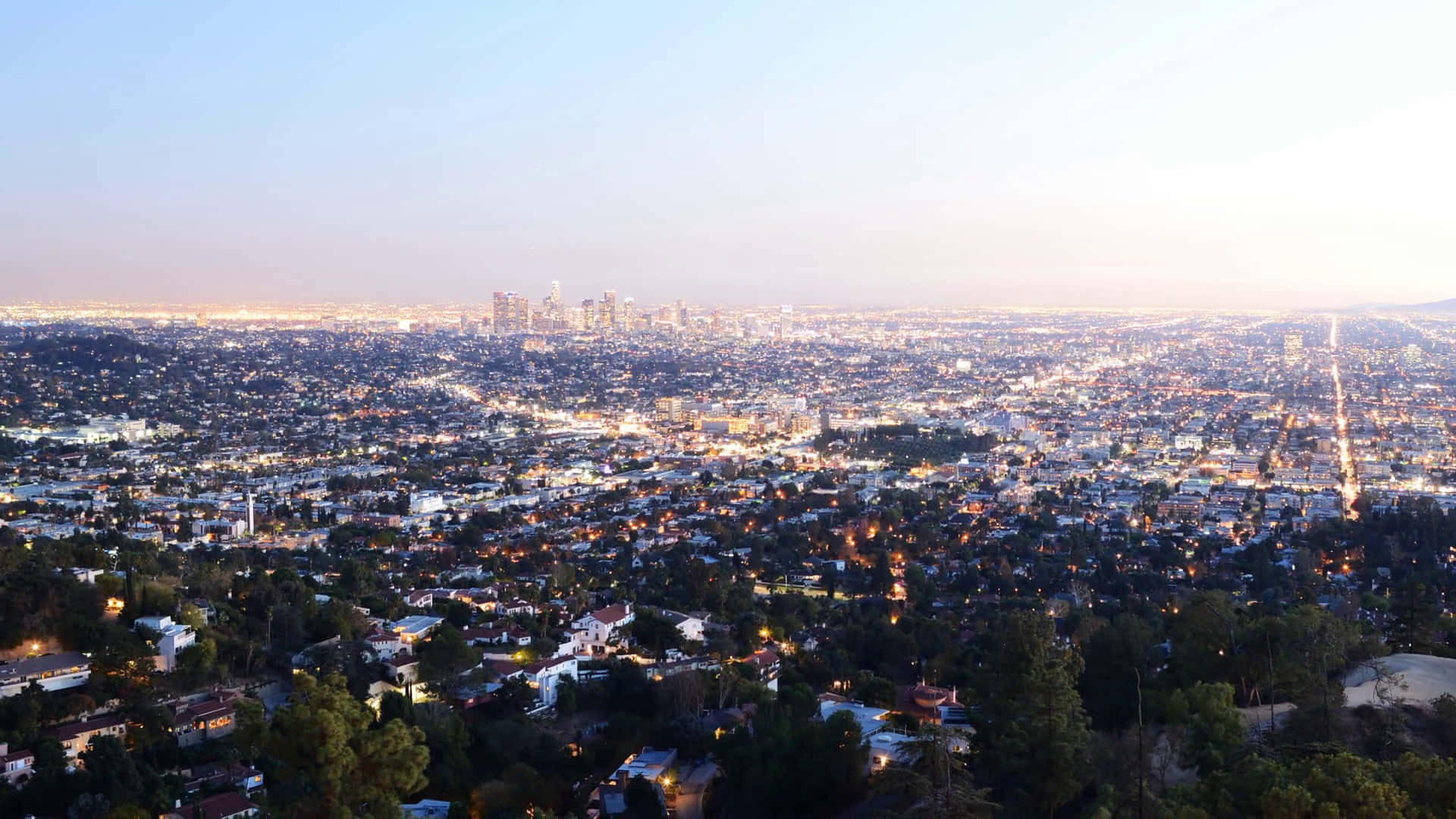 Los Angeles Fuzzy City Skyline Wallpaper
