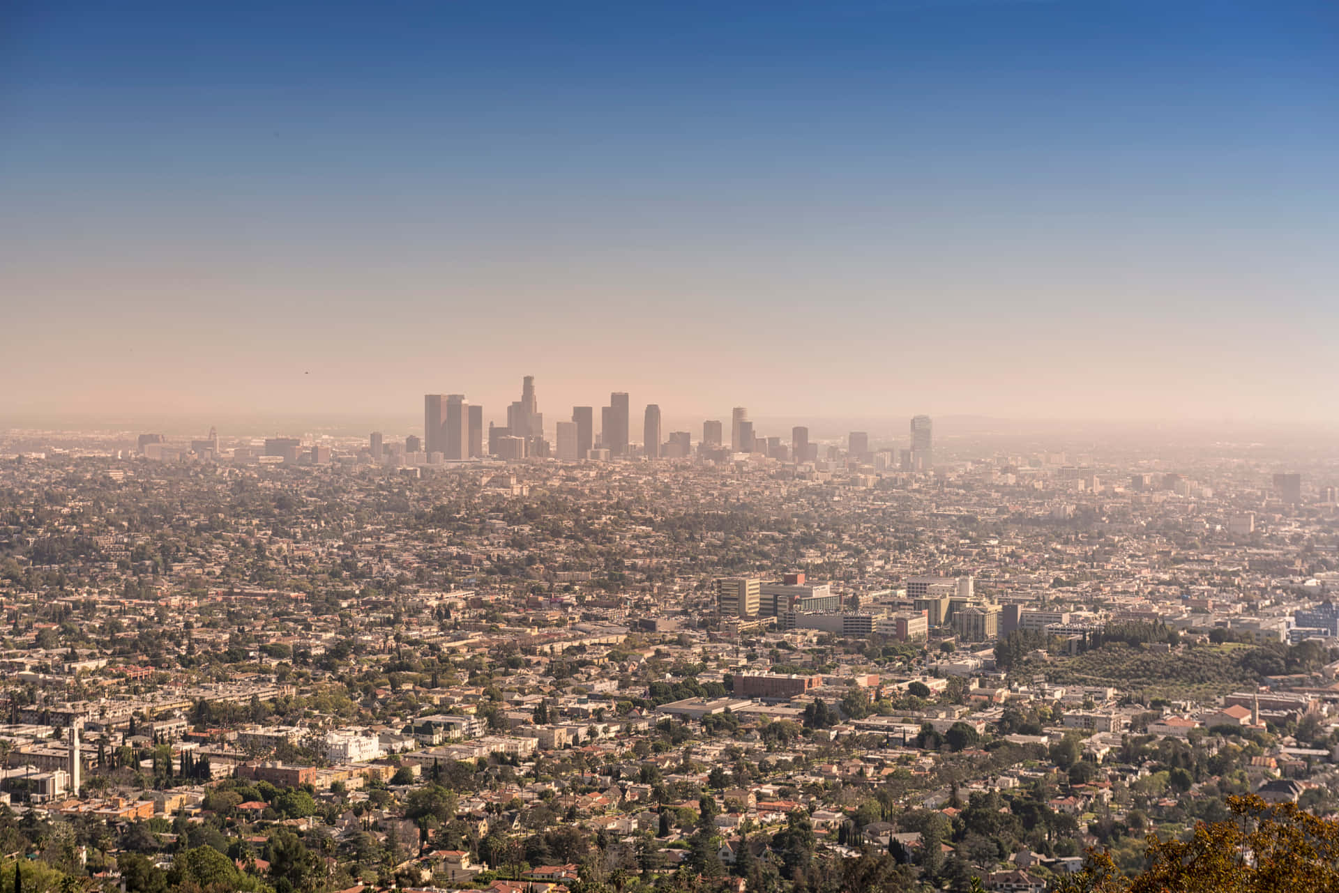 Los Angeles Hazy City Skyline Wallpaper