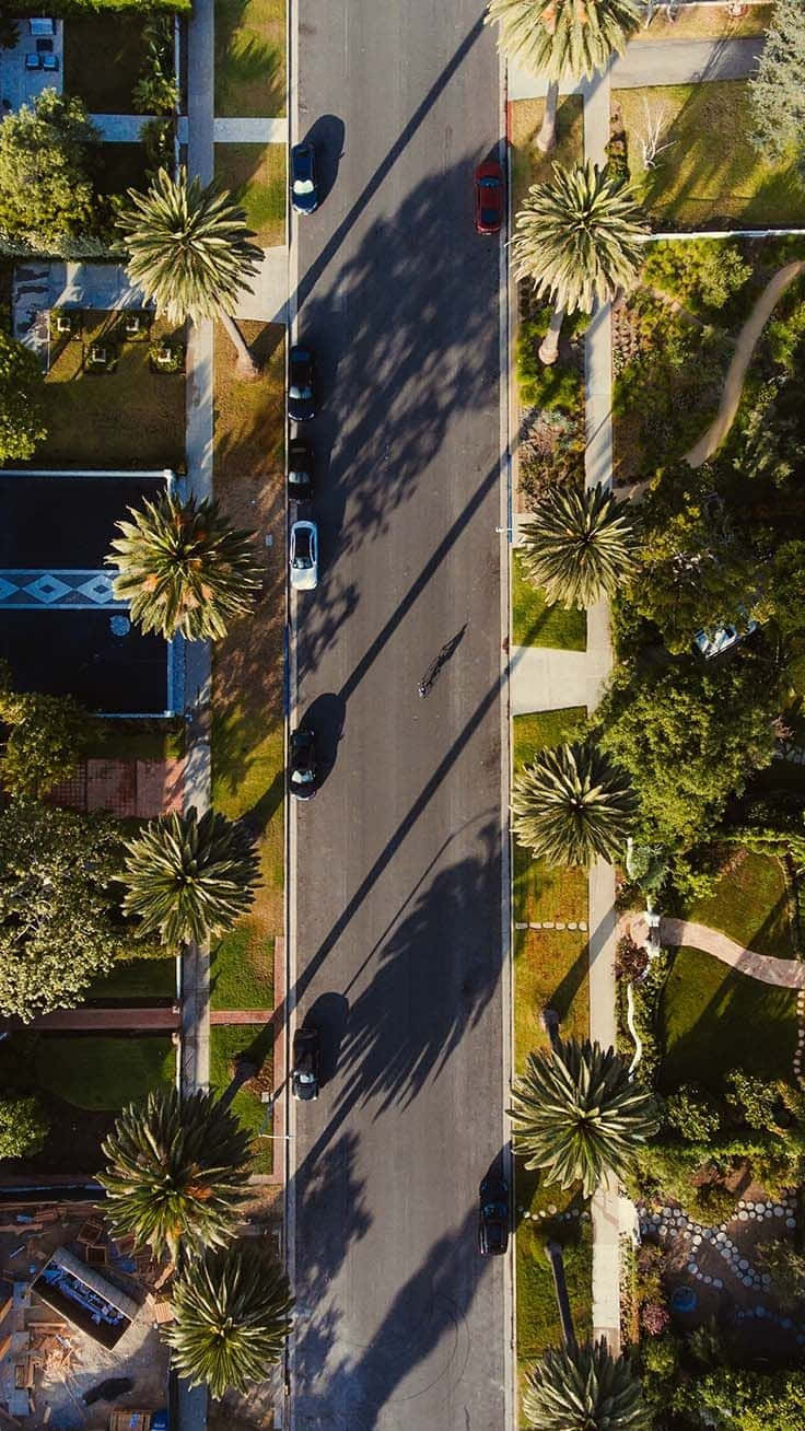 Los Angeles Iphone Screen Theme Wallpaper