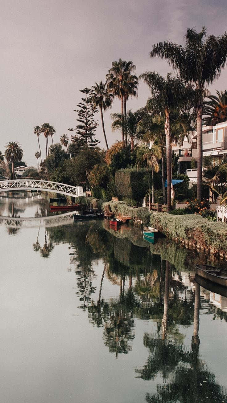 Nyd skønheden af Los Angeles fra din iPhone Wallpaper