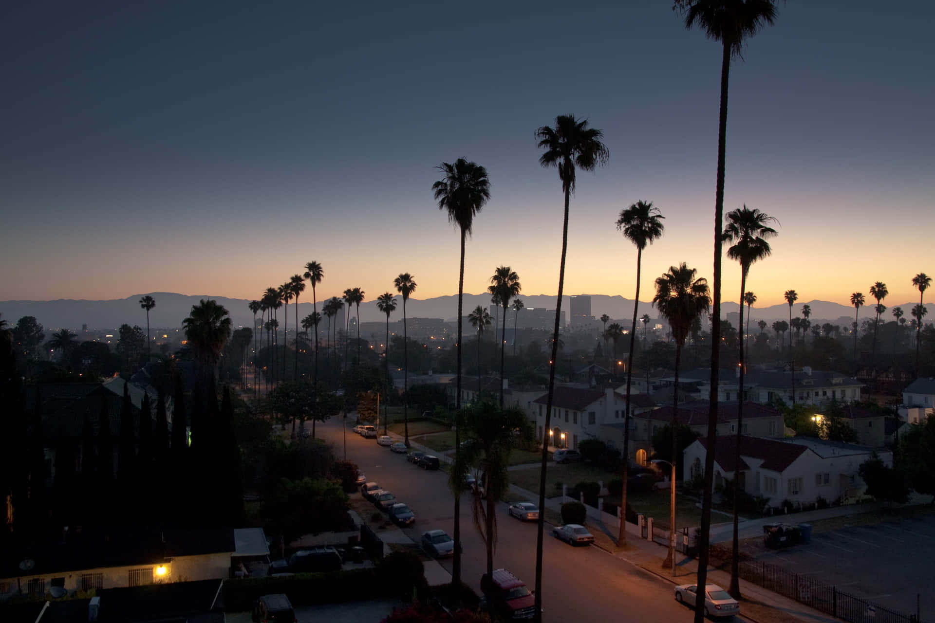 Los Angeles Skyline With Tall Palm Trees Wallpaper