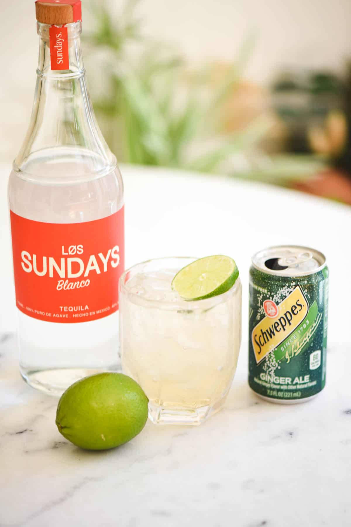 Los Sundays Tequila Ginger Ale Wallpaper
