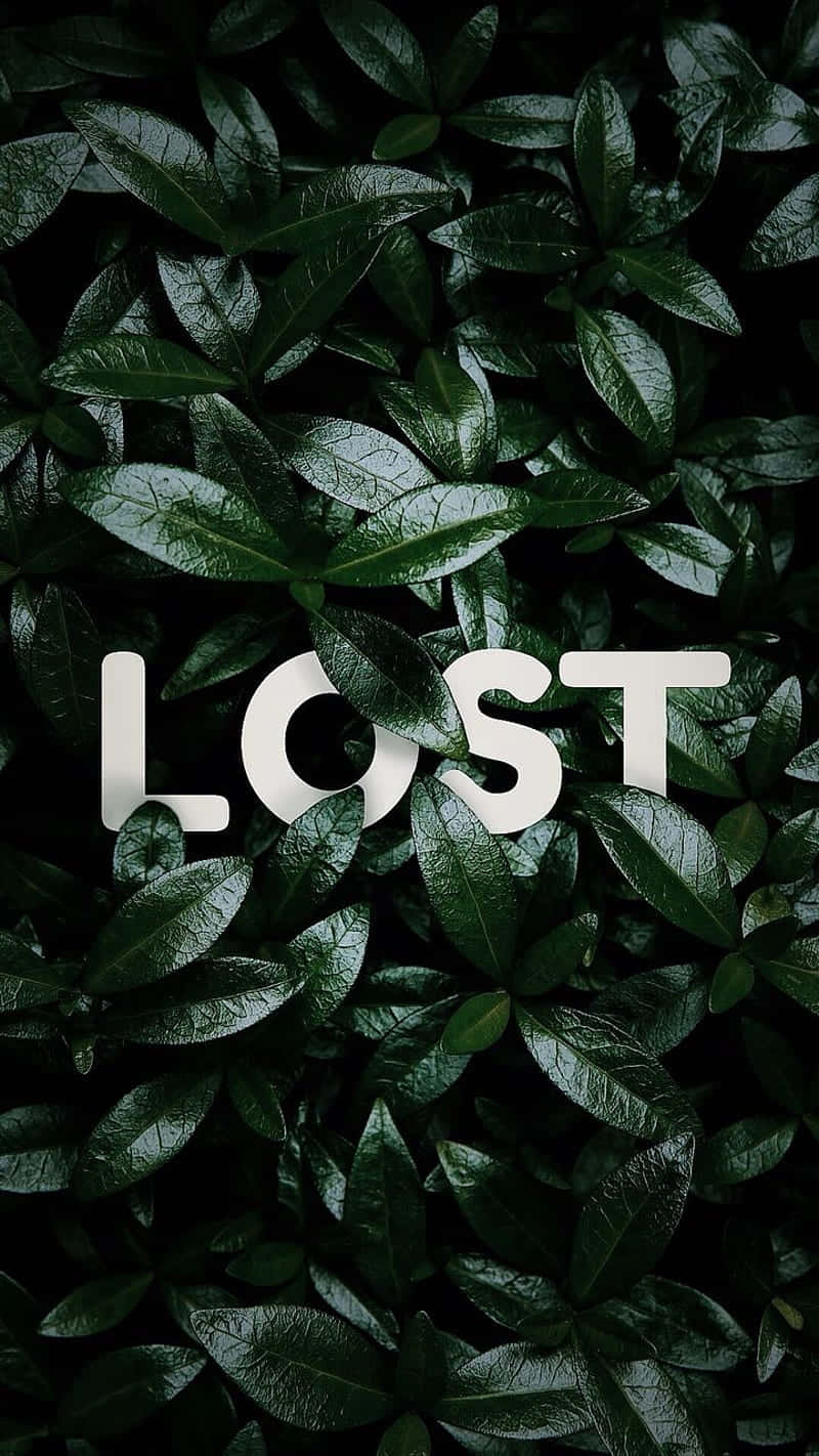 Lost Or Forgotten Text Graphics Wallpaper