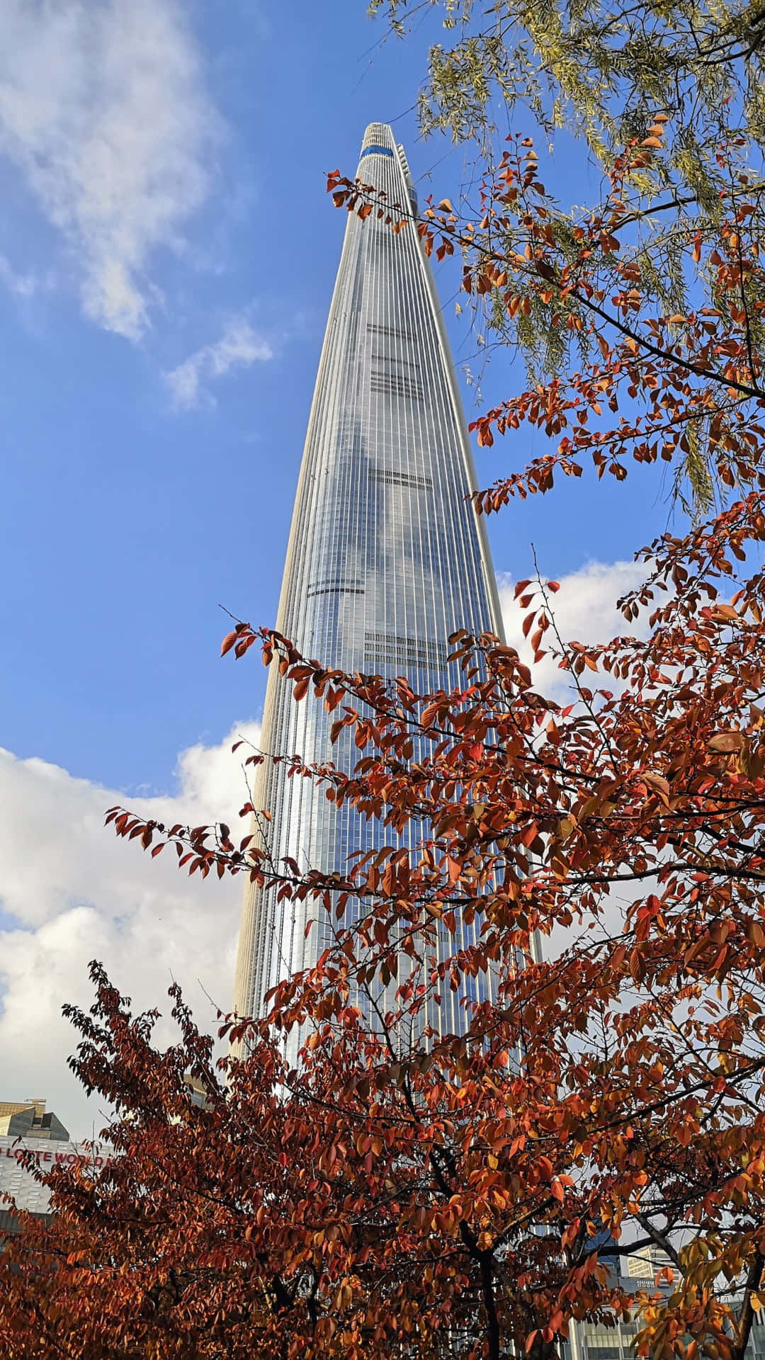 Lotte World Tower Herfst Uitzicht Achtergrond