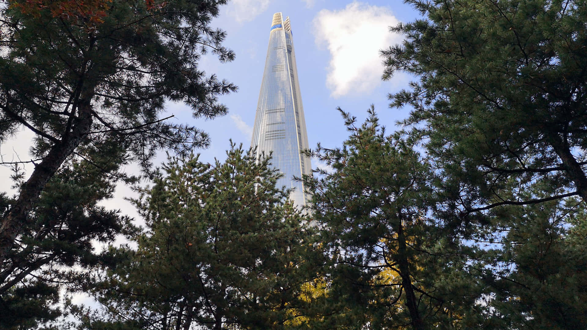 Lotte World Tower Tussen Bomen Achtergrond