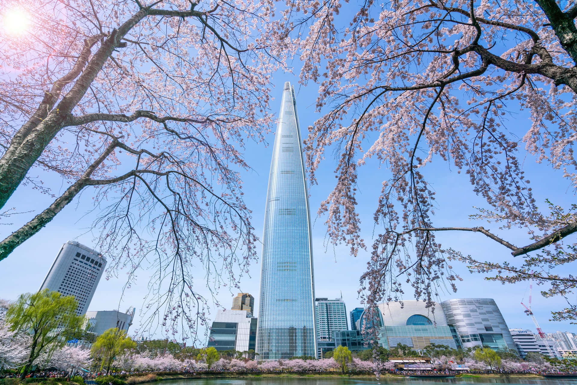 Lotte World Tower Spring Blossoms Wallpaper