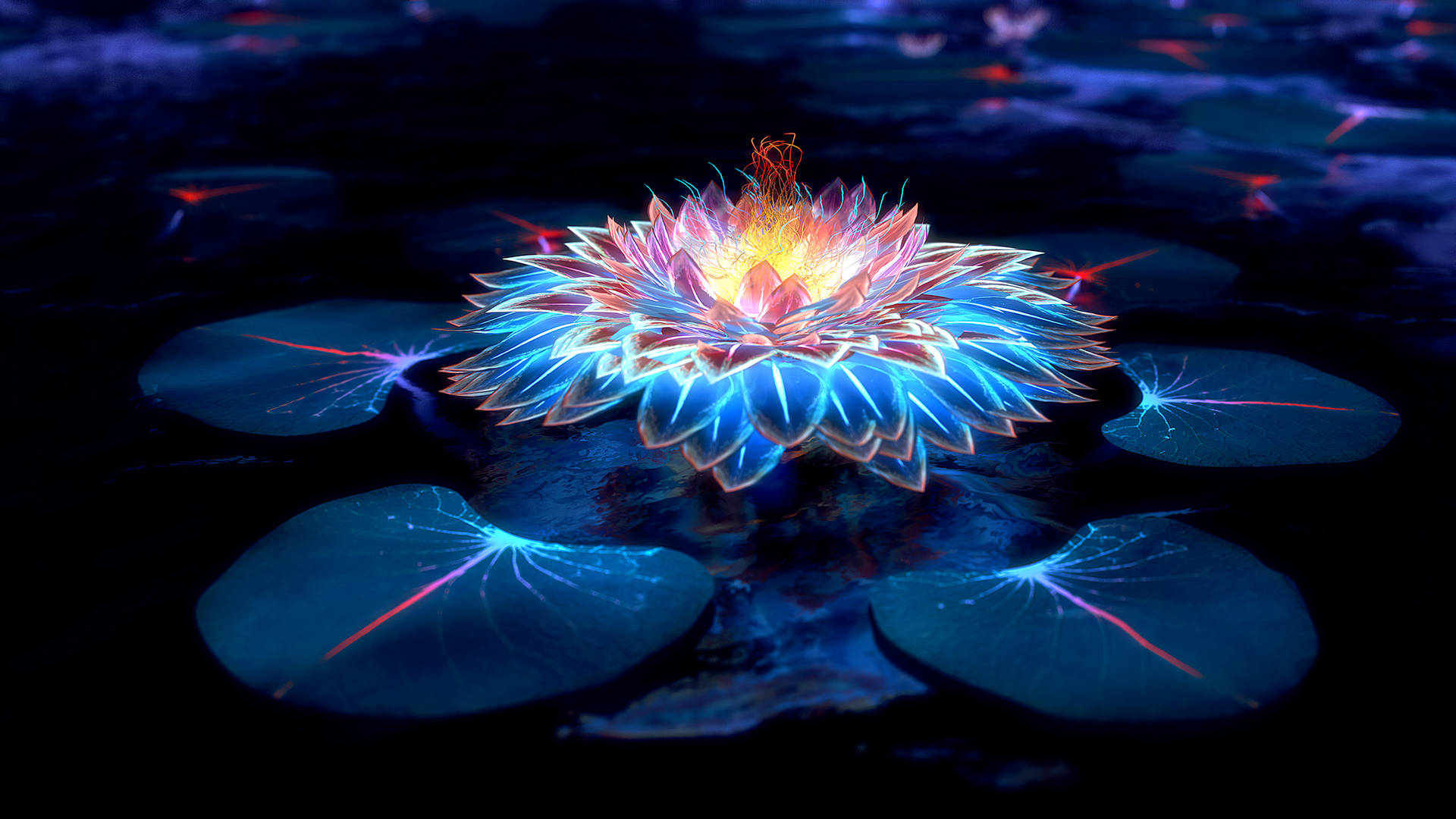 Lotus And Lights In The Dark Wallpaper