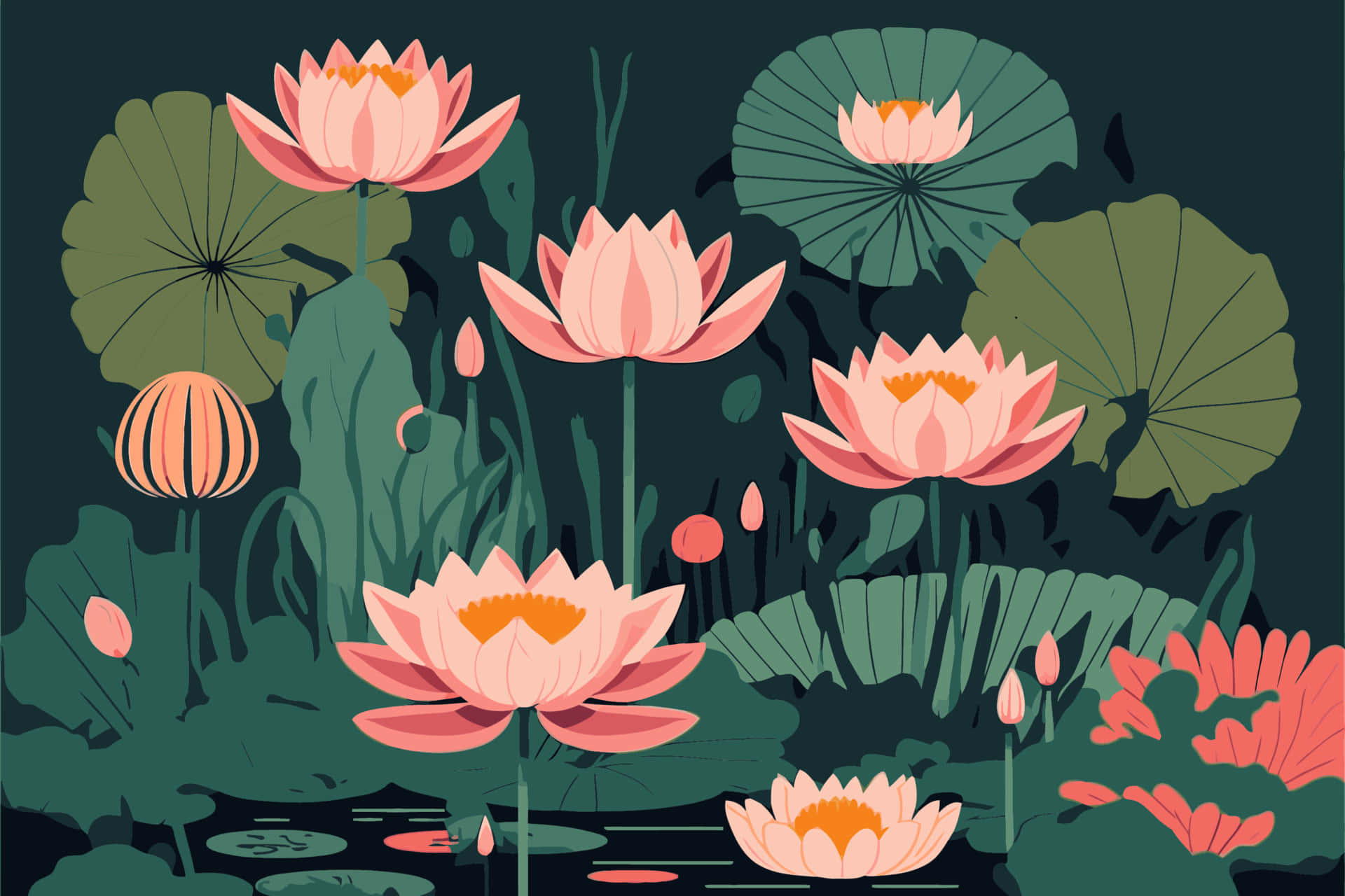 Blooming Lotus, Glowing In the Warm Sunlight