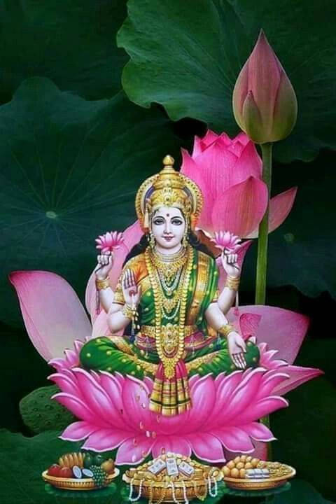 Lotus Buds Lakshmi Wallpaper