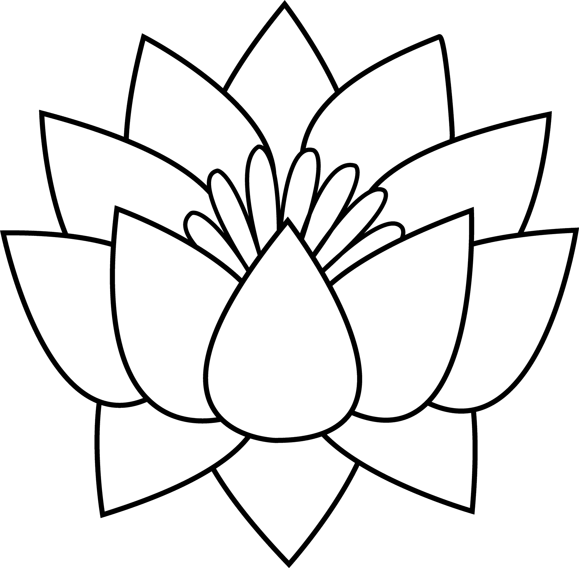 Lotus Flower Line Art Drawing PNG