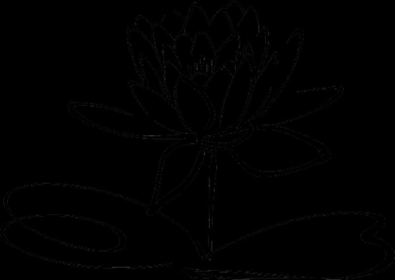 Lotus Flower Outline PNG