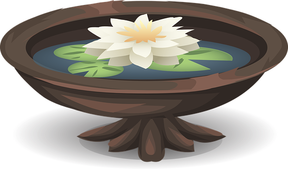 Lotus Flowerin Water Bowl PNG
