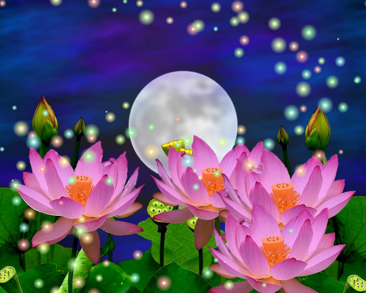 Lotus Flowers And The Moon Wallpaper
