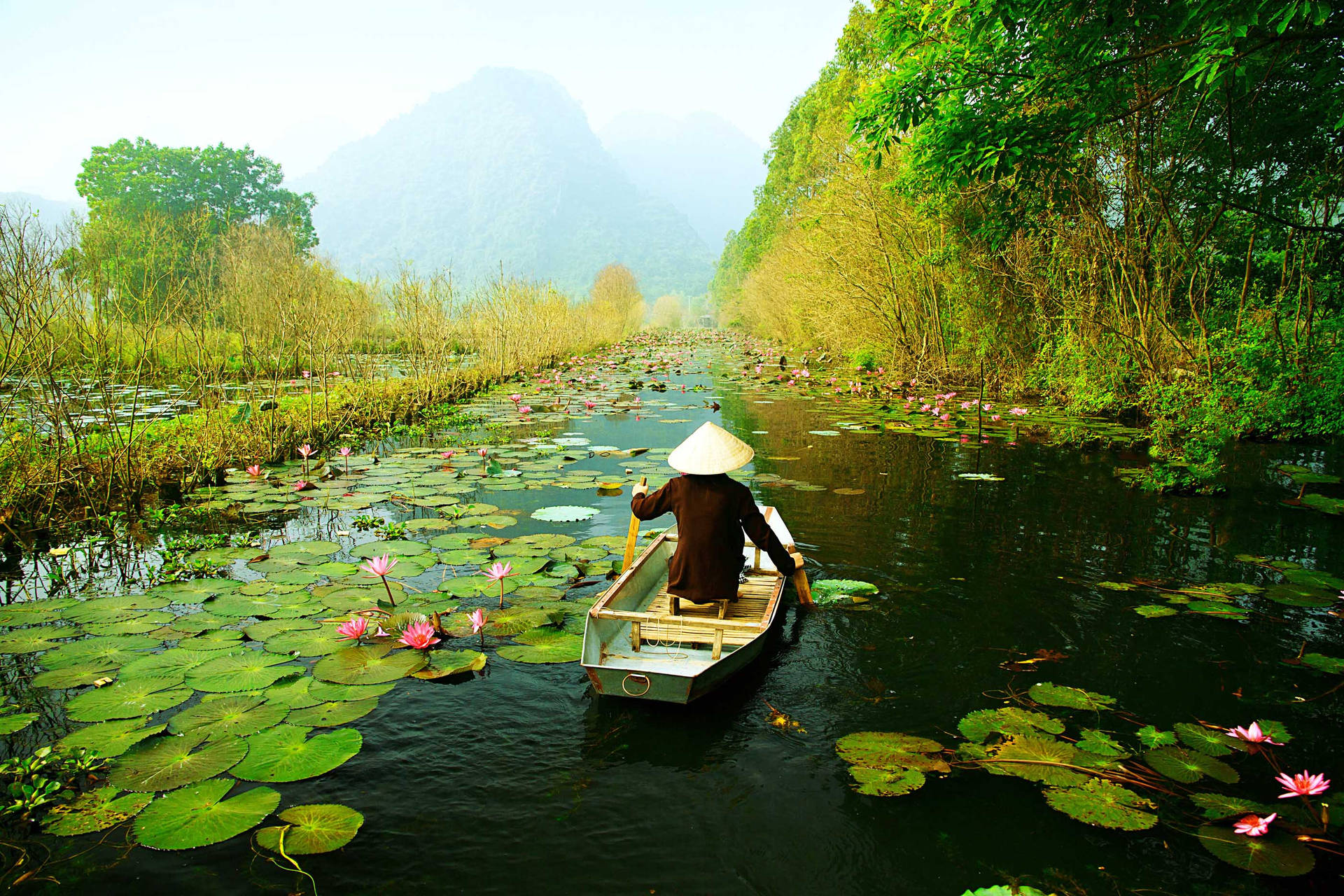 Lotus Lake I Hanoi Wallpaper