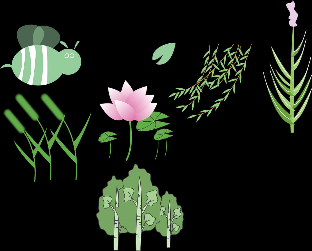 Lotusand Nature Vector Illustration PNG