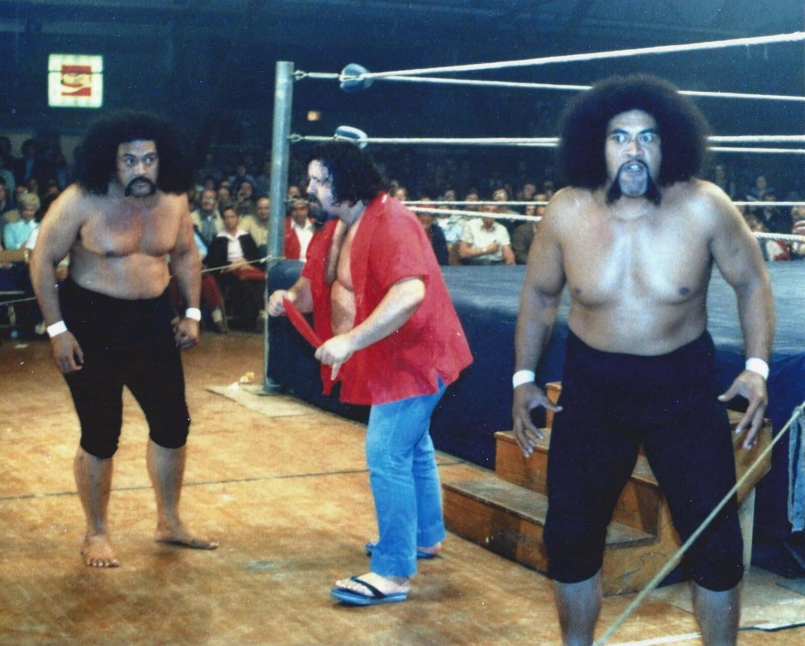 Legendary Wrestling Manager Lou Albano with Wrestlers Sika and Afa Anoa'i Wallpaper