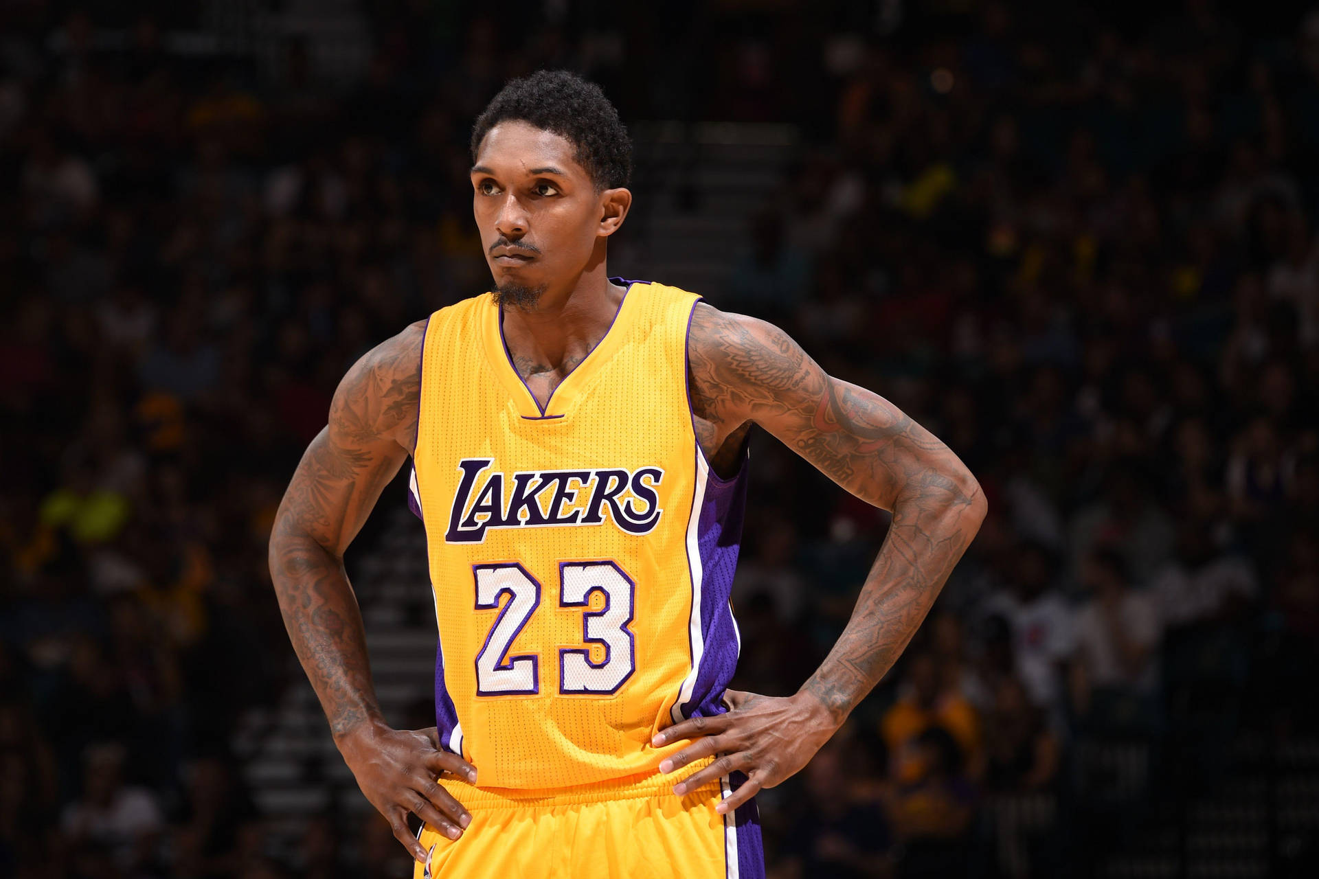 lou williams lakers jersey