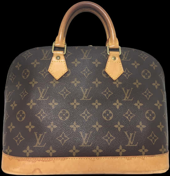 Louis Vuitton Monogram Canvas Bag PNG