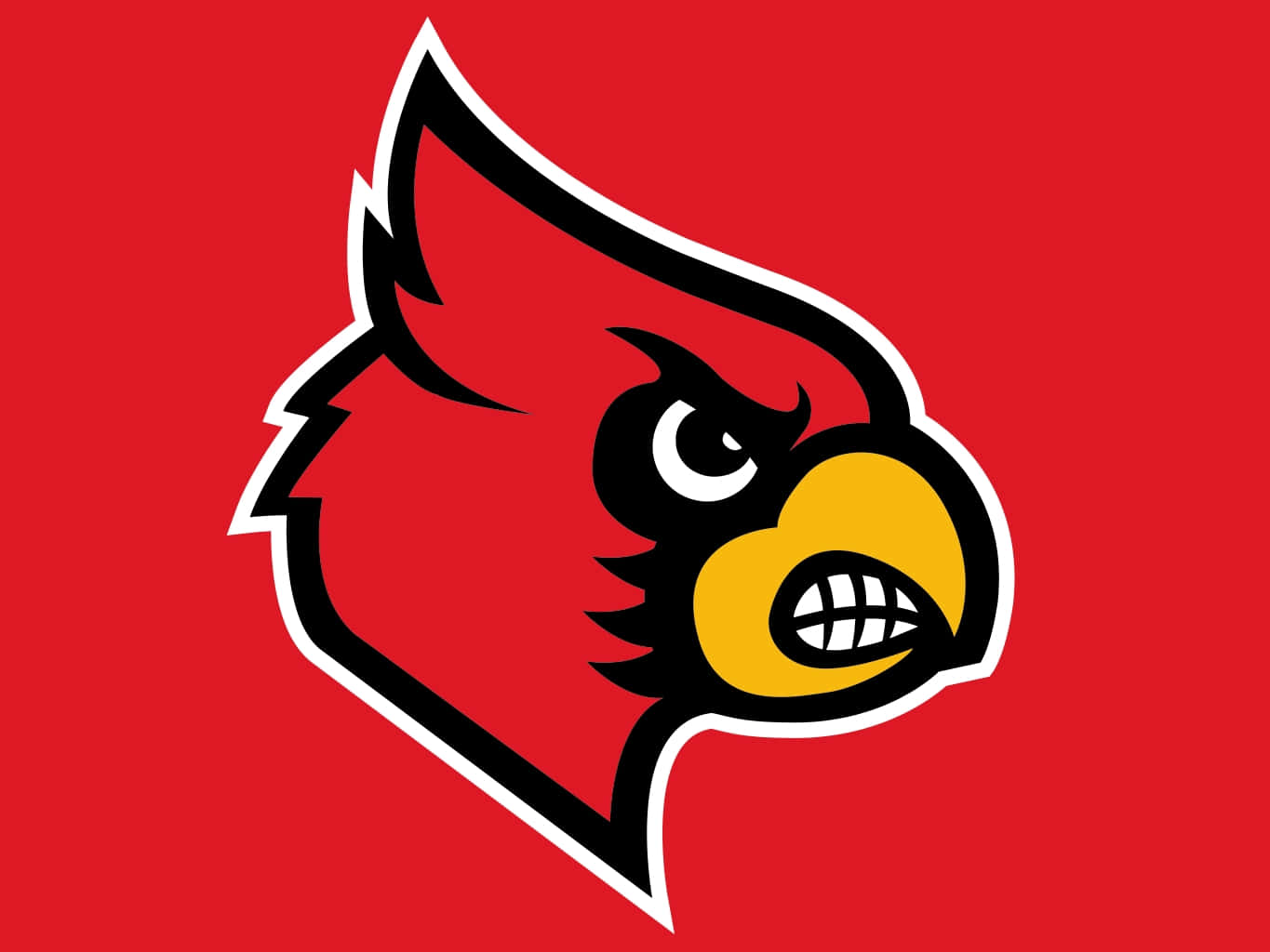 Louisville Cardinals Logo Red Background Wallpaper