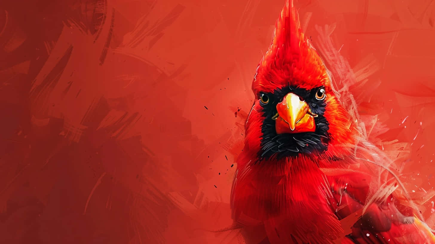 Louisville Cardinals Mascot Artwork Wallpaper