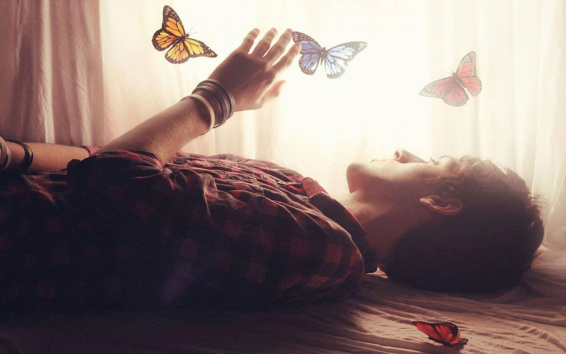 Love Alone Butterflies Wallpaper