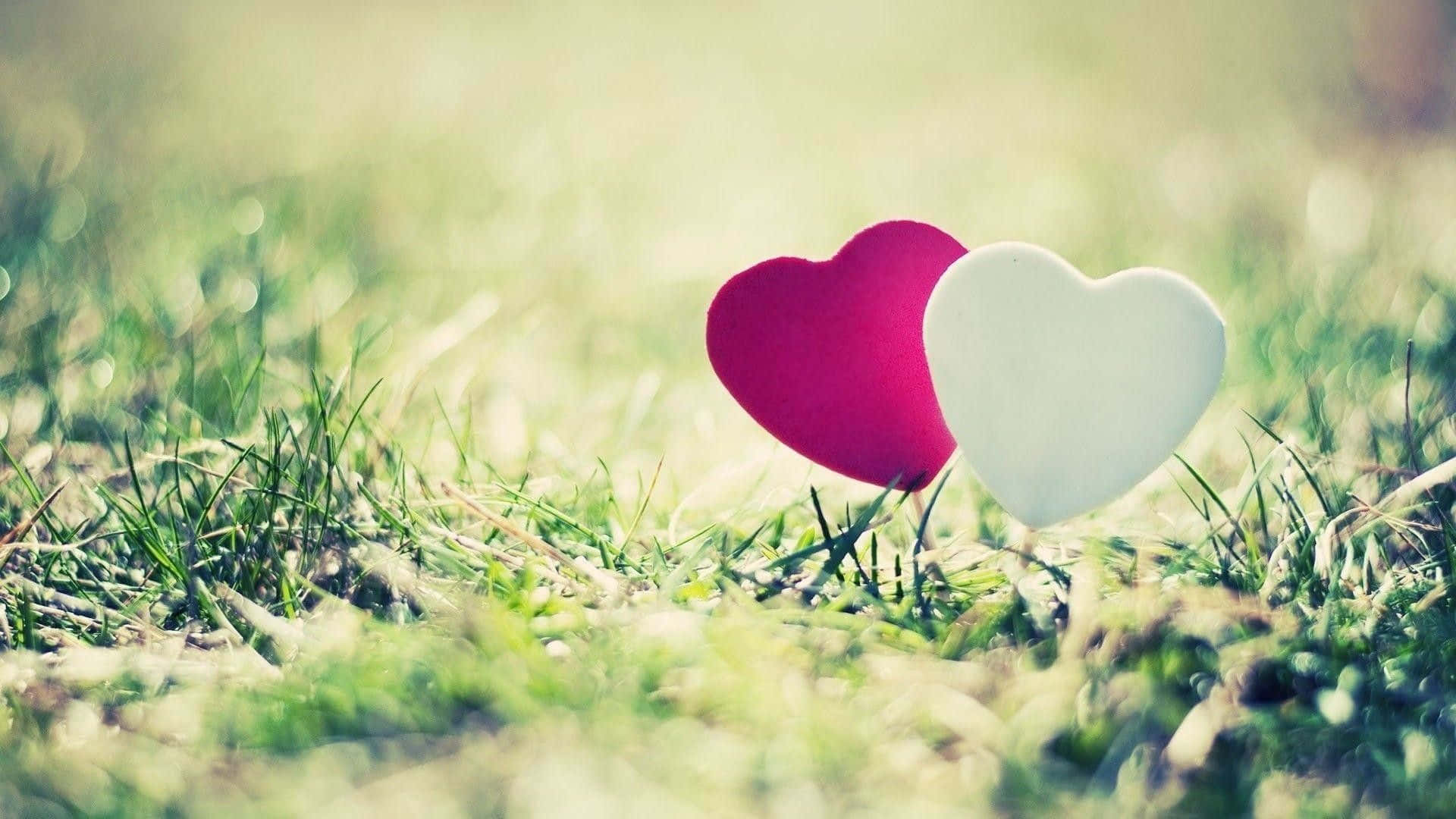 Adorable Two Hearts On Green Grass Love Background