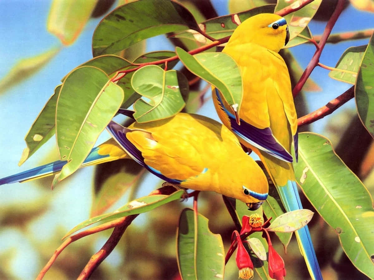Duepiccoli Uccelli Innamorati Appollaiati Su Un Ramo Intrecciato Nell'amore.