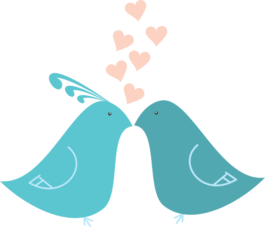 Love Birds Hearts Illustration PNG