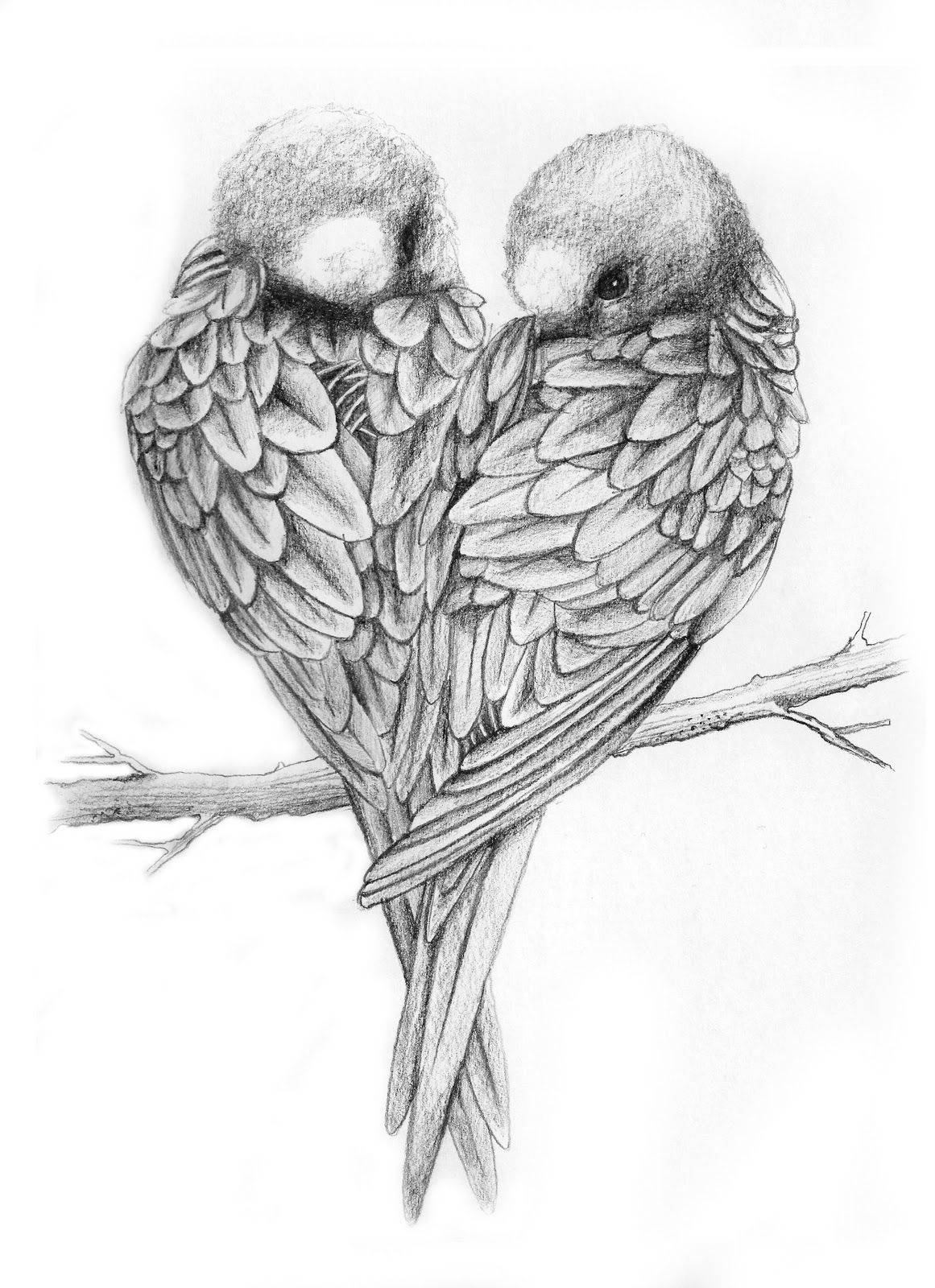 Love Birds Pencil Sketch Wallpaper