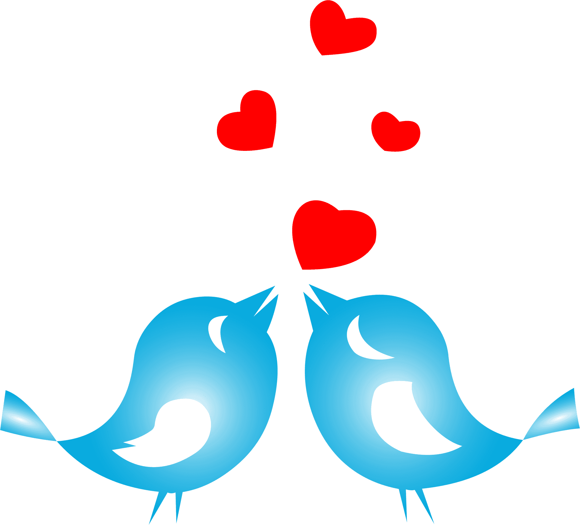 Love Birds Sharing Heart PNG