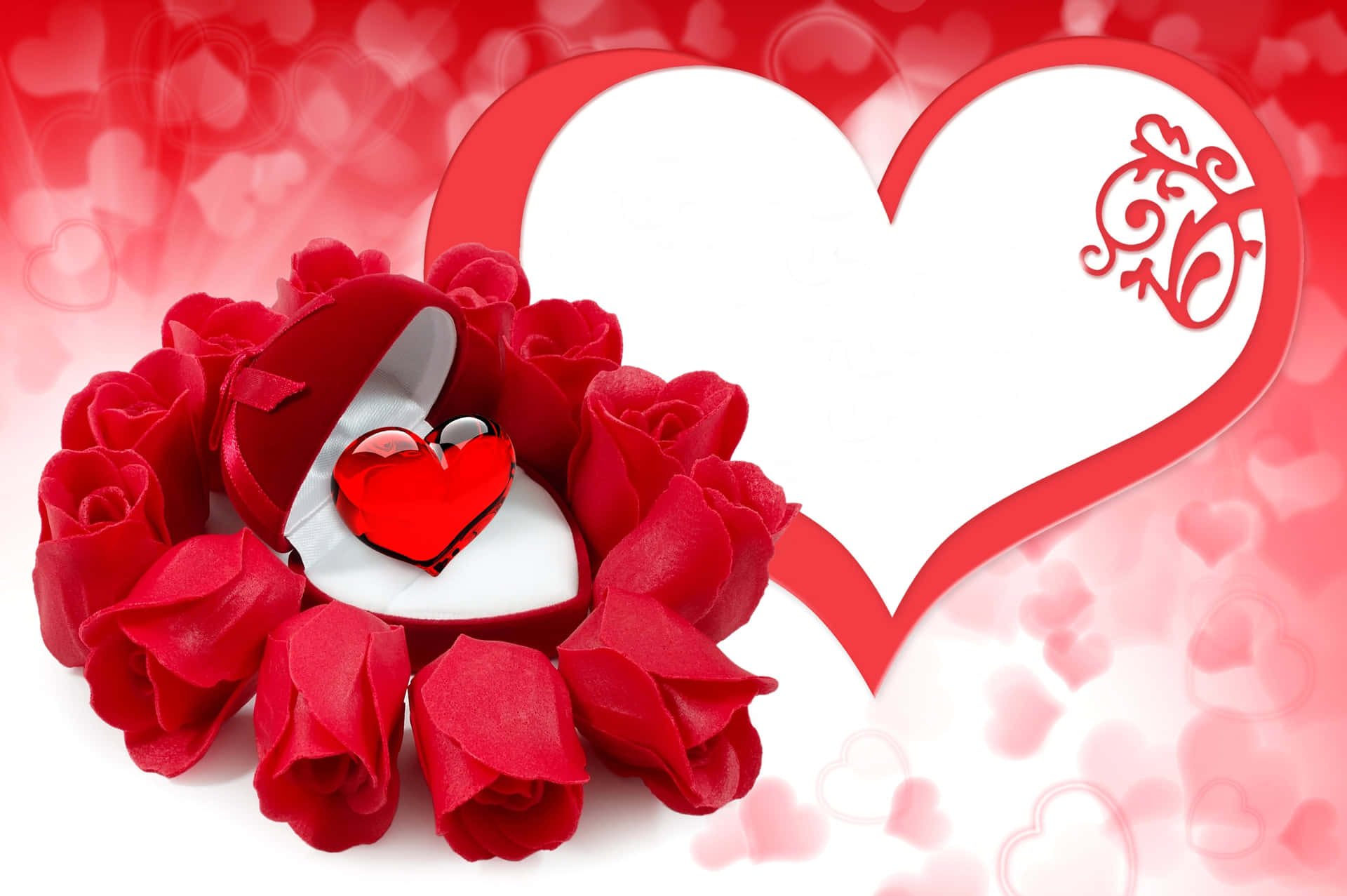 Rød Valentins Kærlighed Blomster Billede Tapet