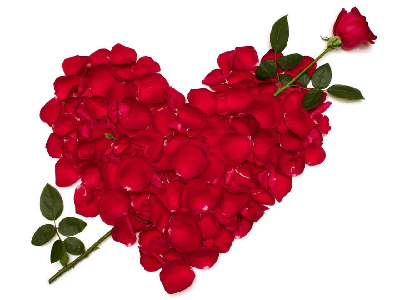 Heart Love Rose Flowers Picture