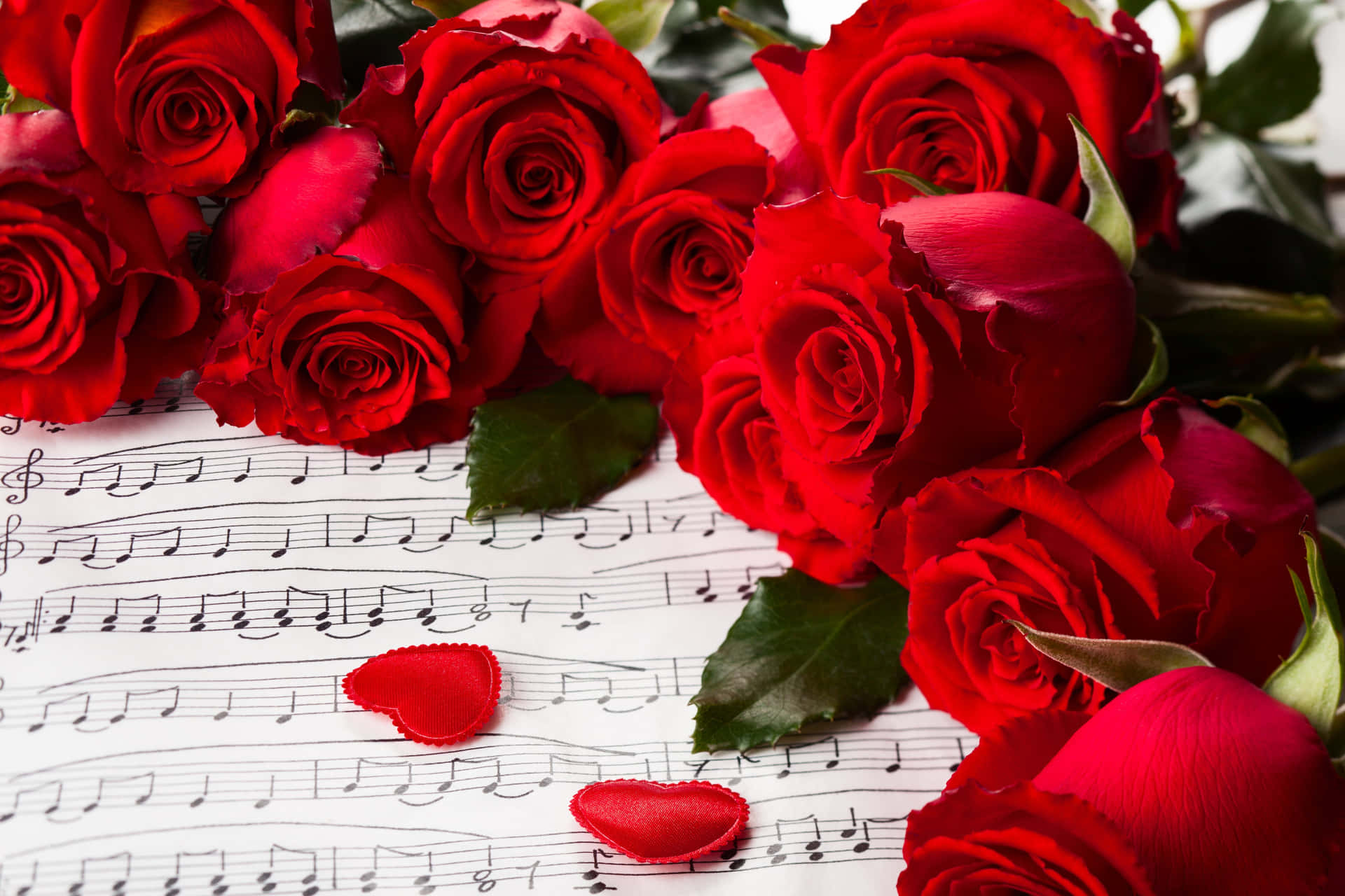 Musikalsk Kærlighed Blomster Billede Tapet