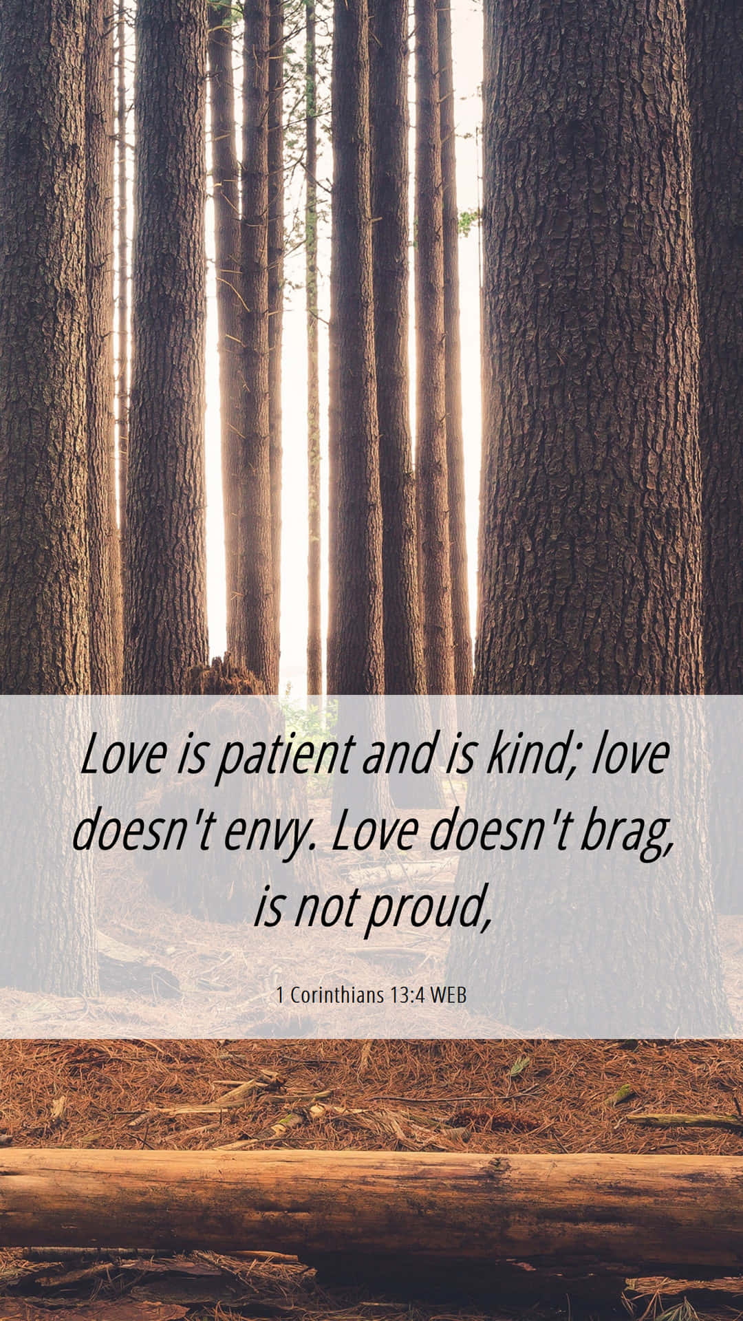 Love Is Patient And Kind Wallpaper