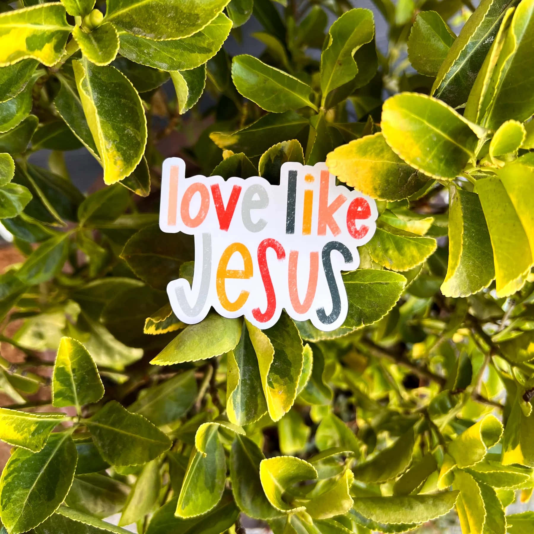 Love Like Jesus Sticker Nature Backdrop Wallpaper