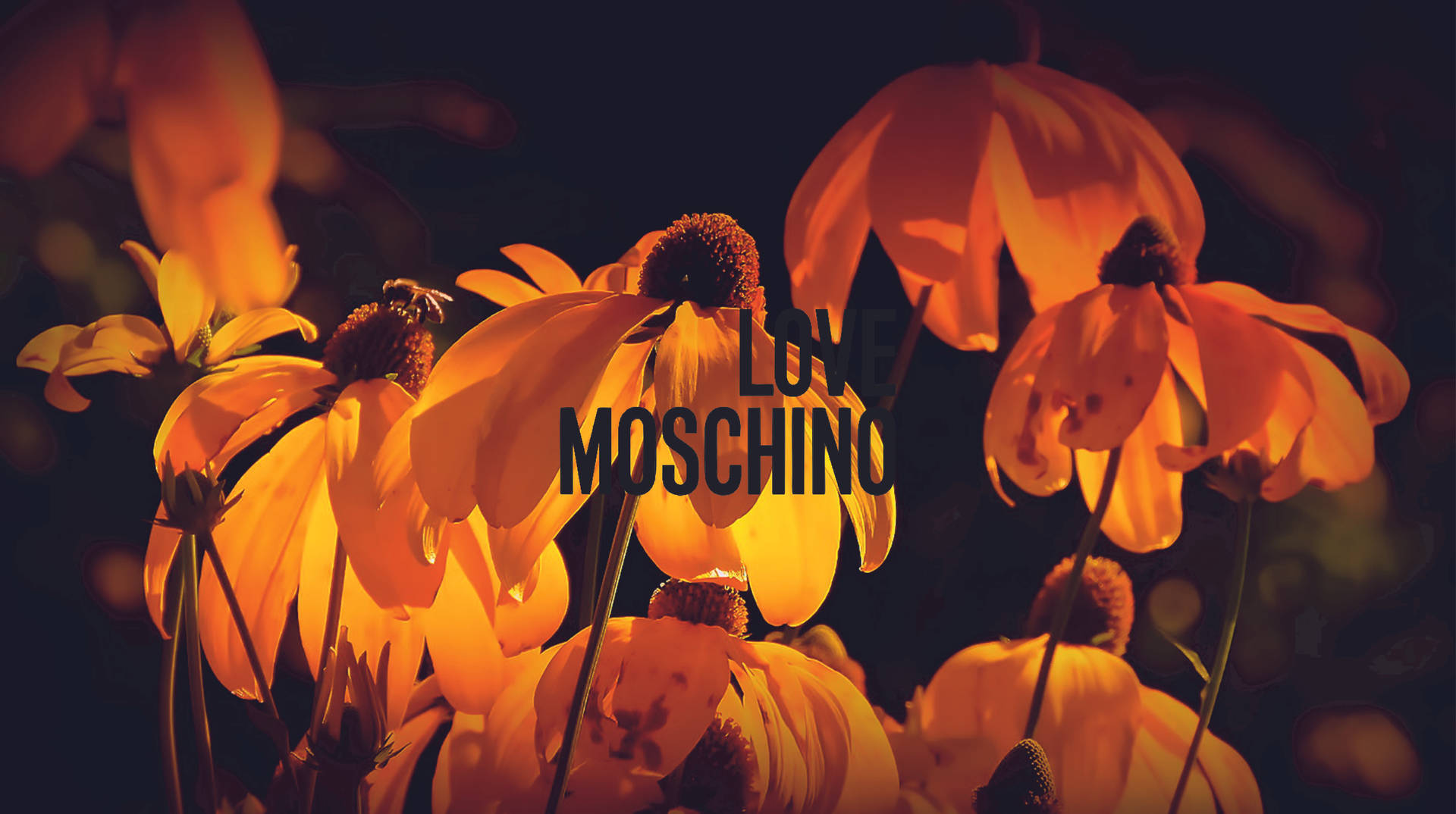 Love Moschino Orange Flowers Wallpaper