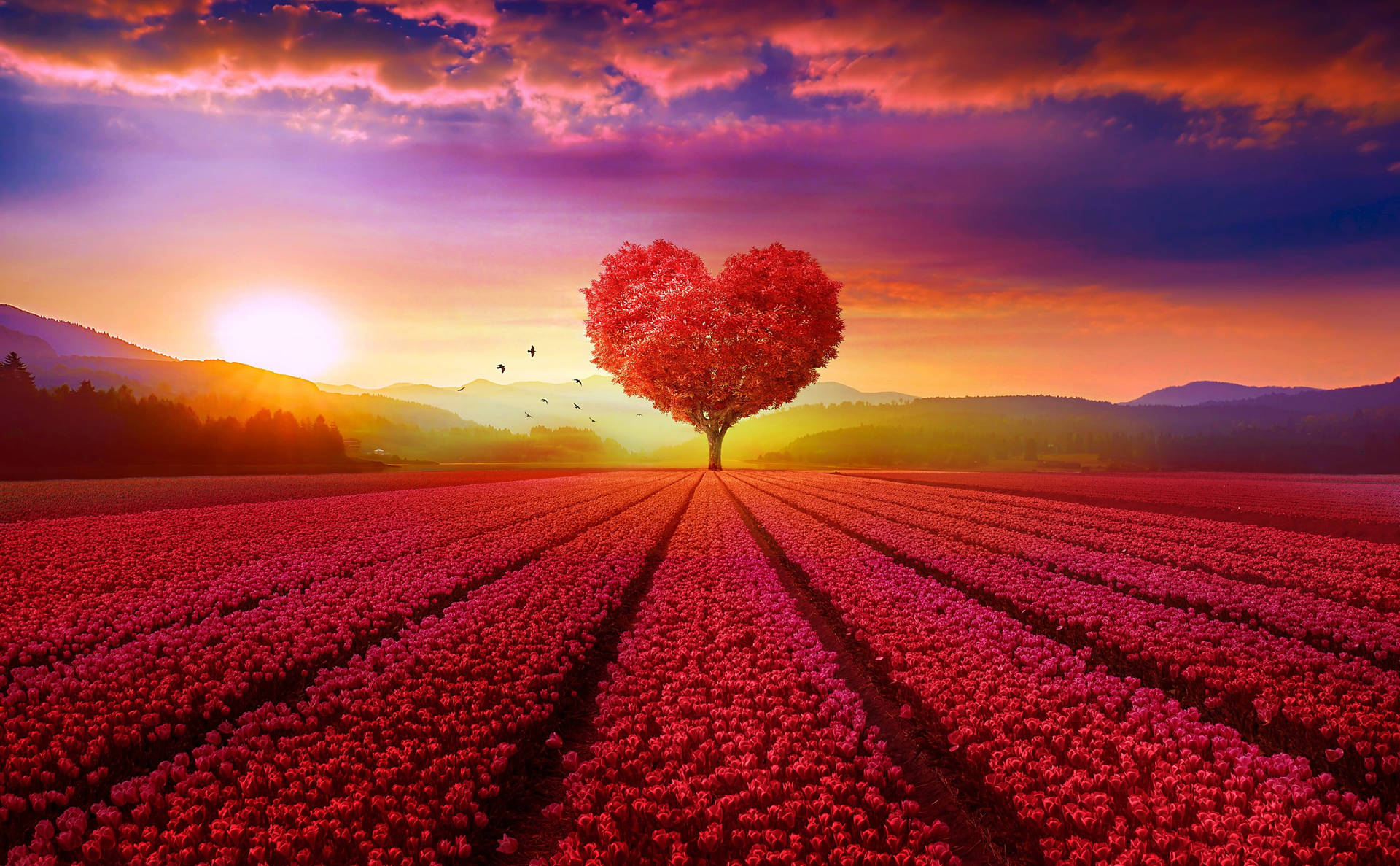 Love Nature In Red Field Wallpaper