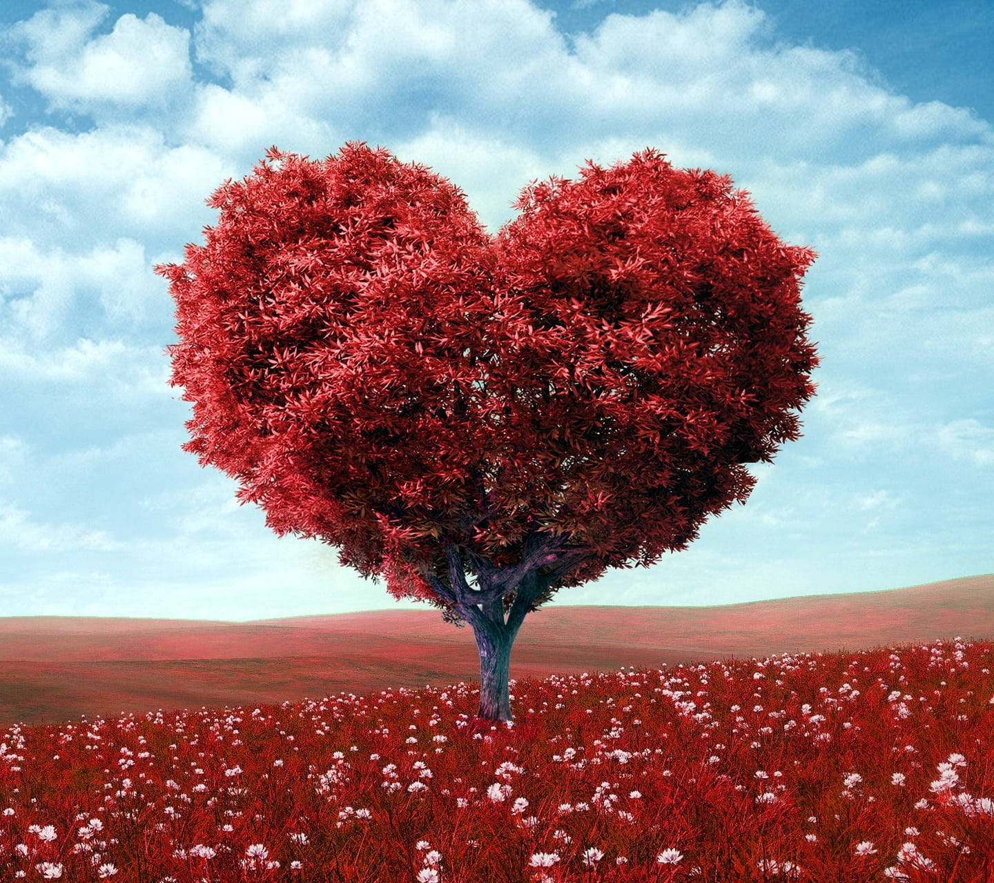 Love Nature Red Heart Tree Wallpaper