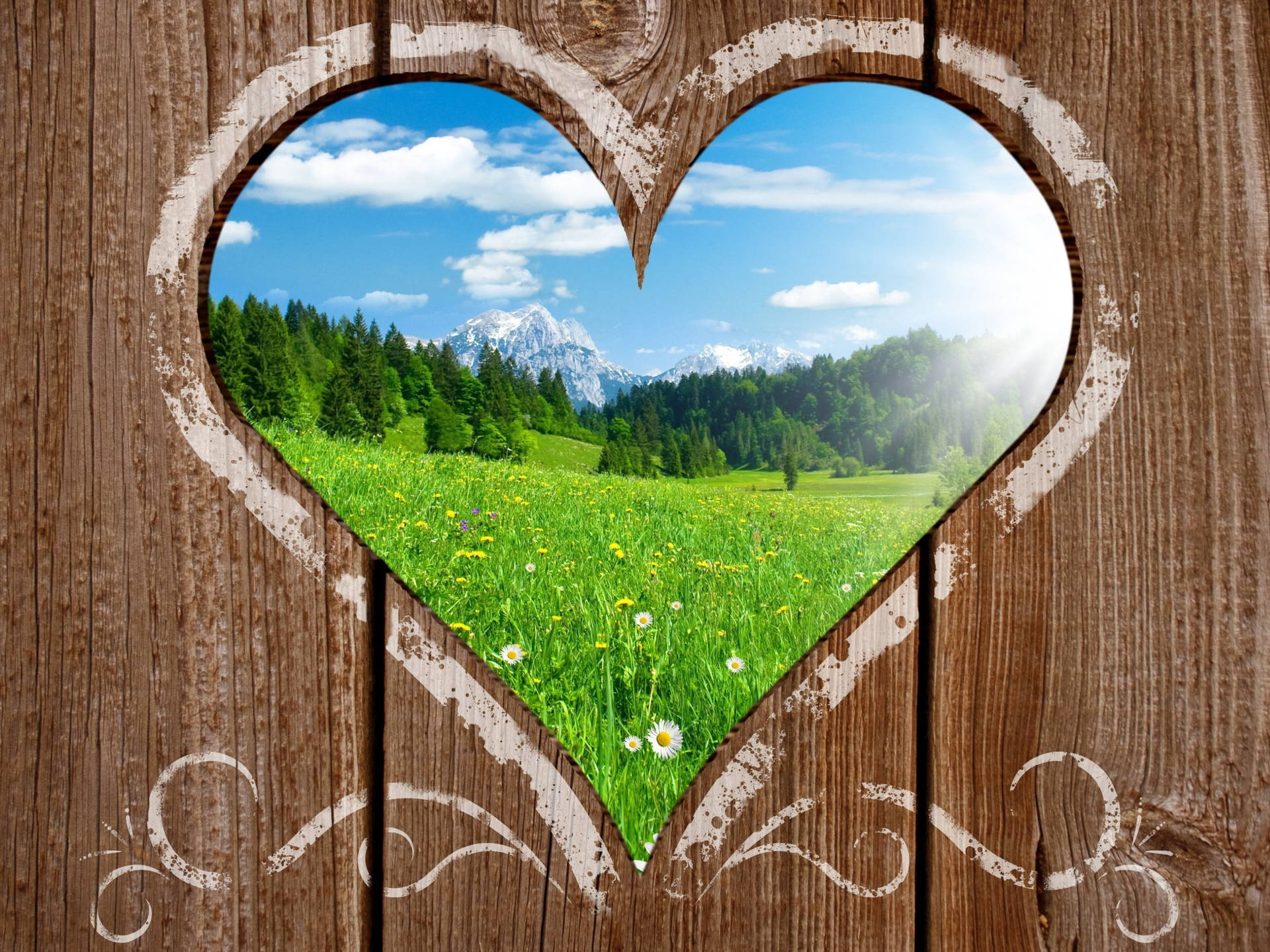 Love Nature Through Wooden Heart Wallpaper