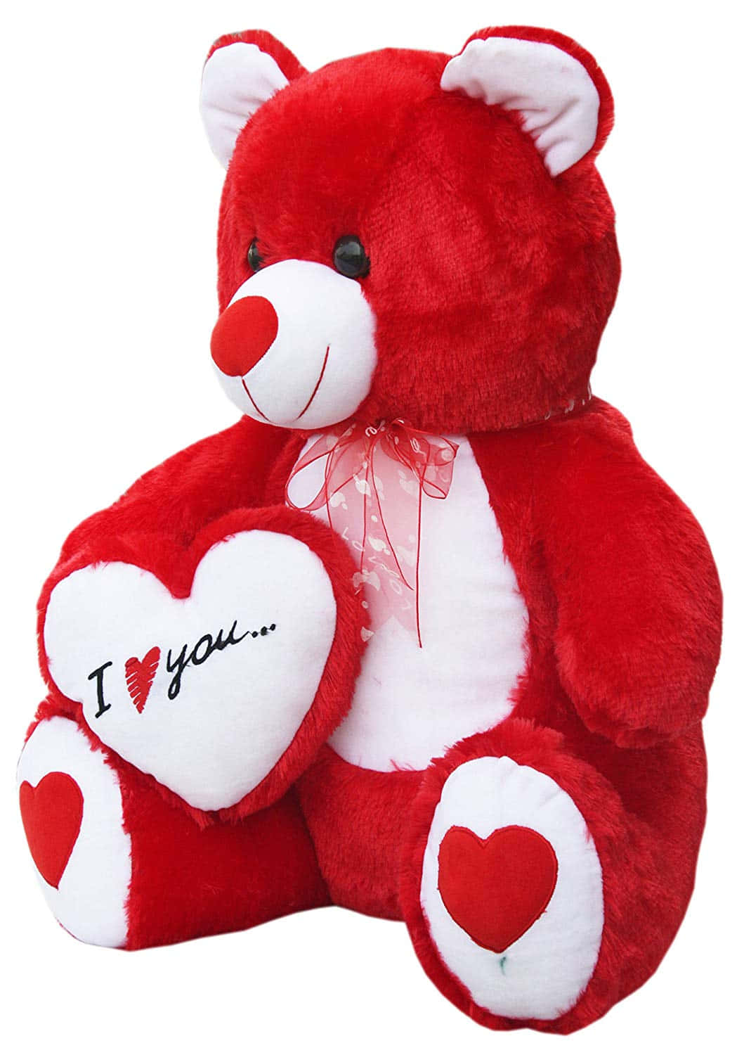 "I LOVE YOU" Teddy Bear Picture