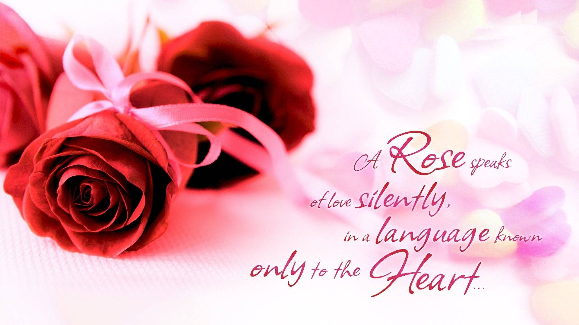 Love Rose Hd Quote Wallpaper