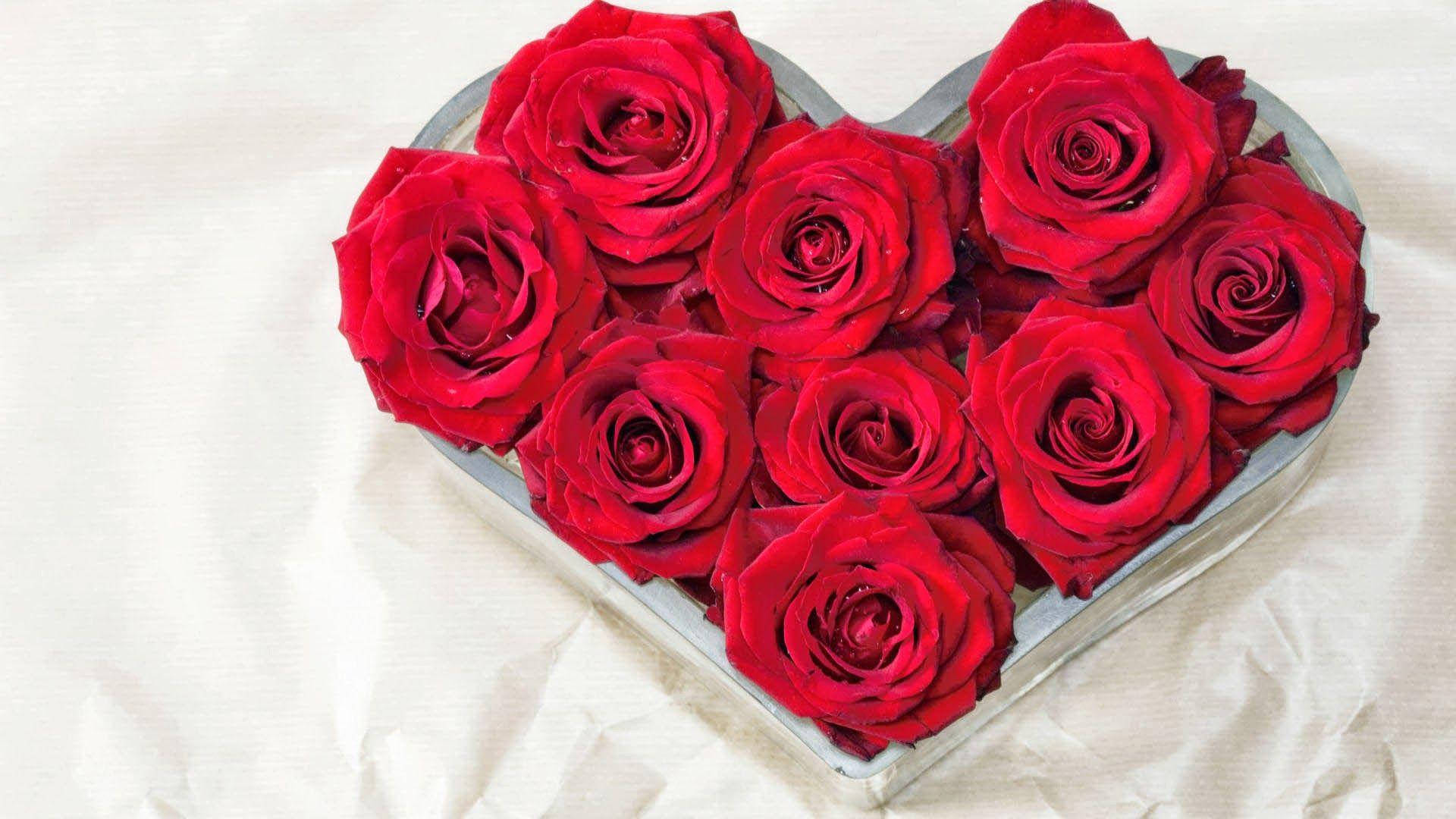 Love Rose Heart Box Background
