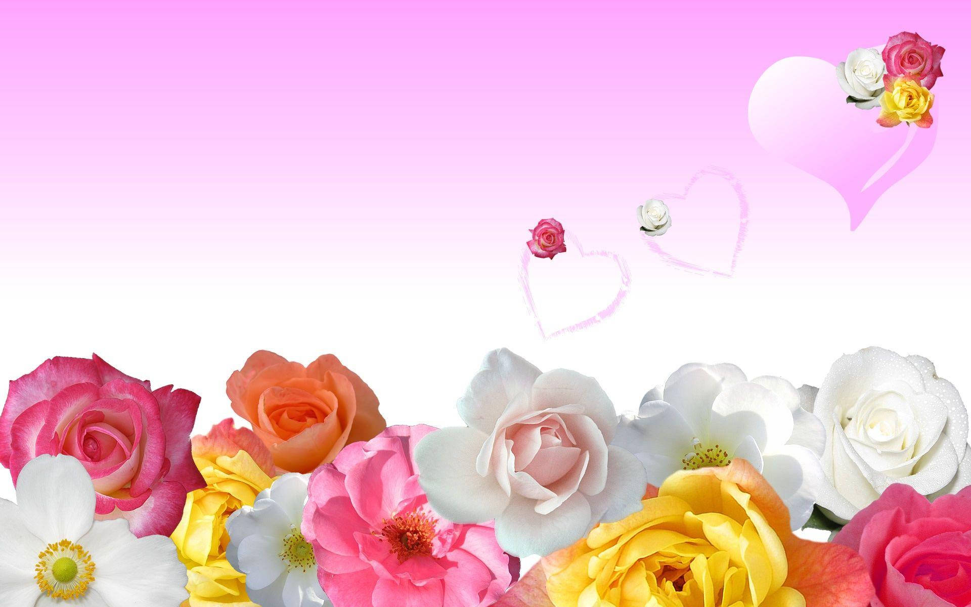 Love Rose Pink Picture