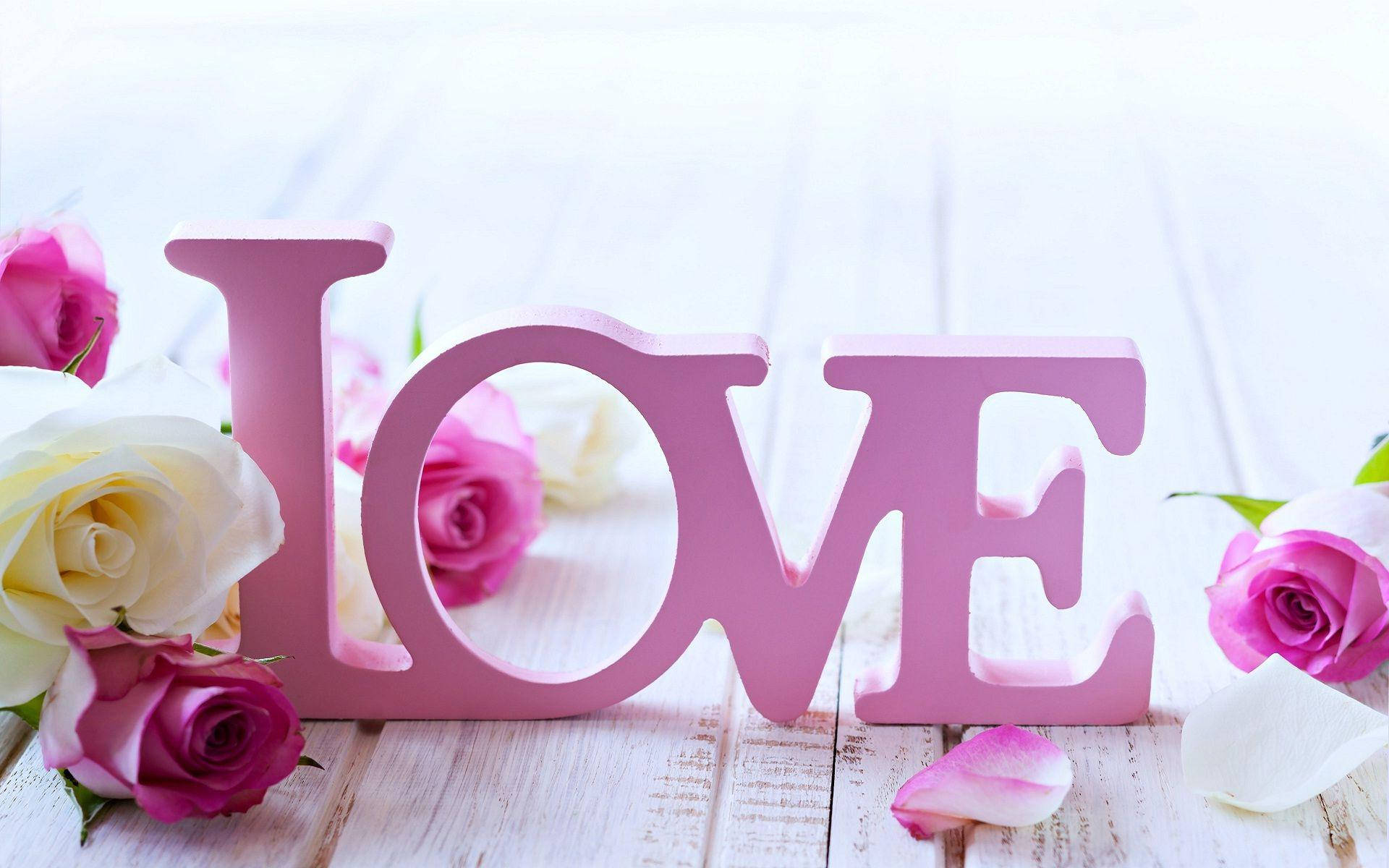 Love Rose Pink Sign Background
