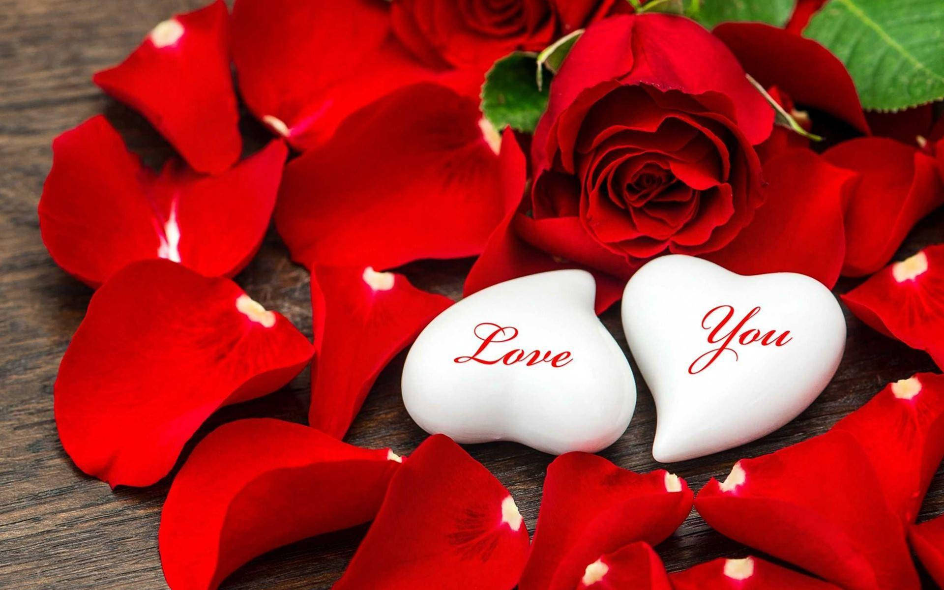 Love Rose White Hearts Picture