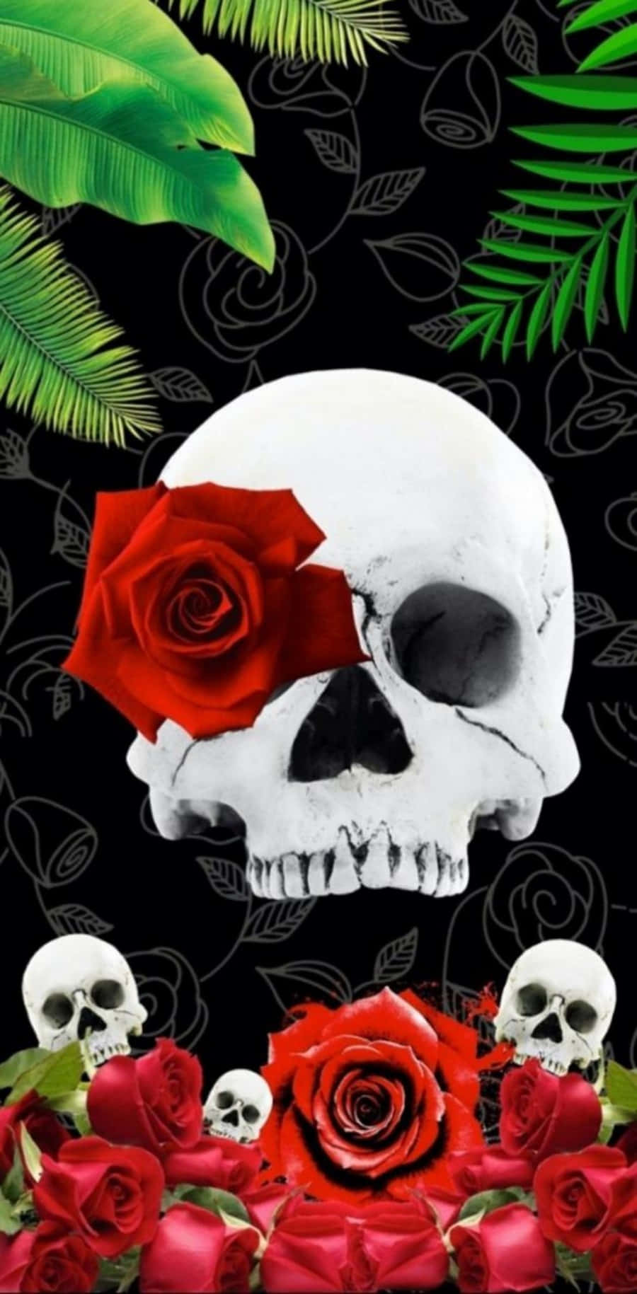 Dead Roses Photos for Sale  Fine Art America