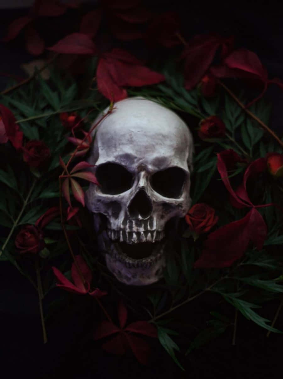 Mørk Horror Kærlighed Skulls Og Roser Wallpaper