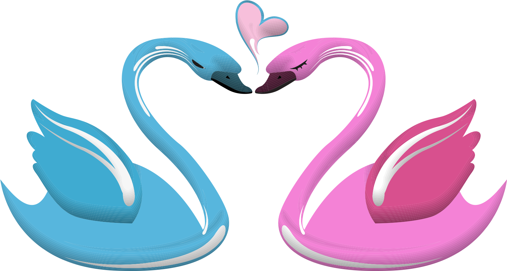 Love Swan Heart Illustration PNG